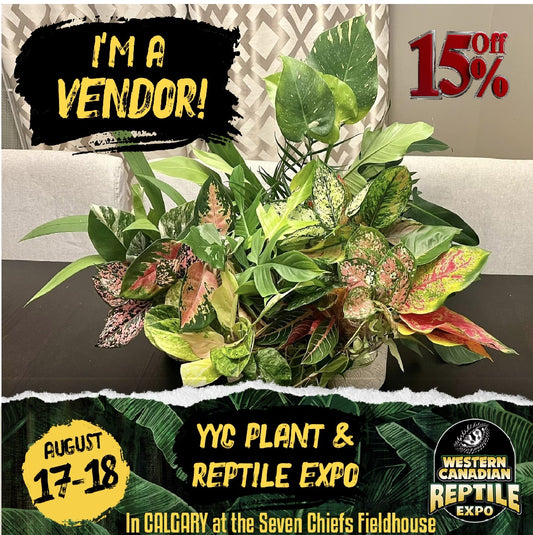 VIP Hour at Western Canada Reptile and Tropical Expo
