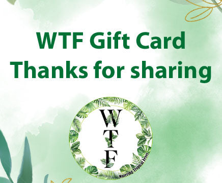 WTF Gift Cards