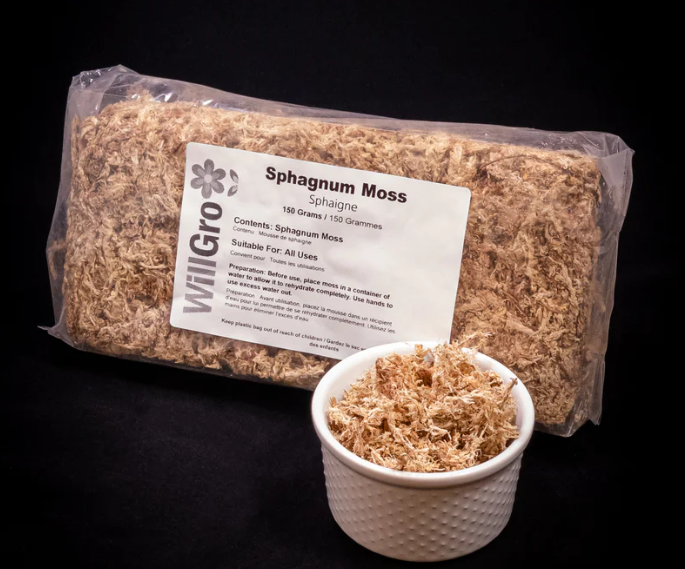 Sphagnum Moss
