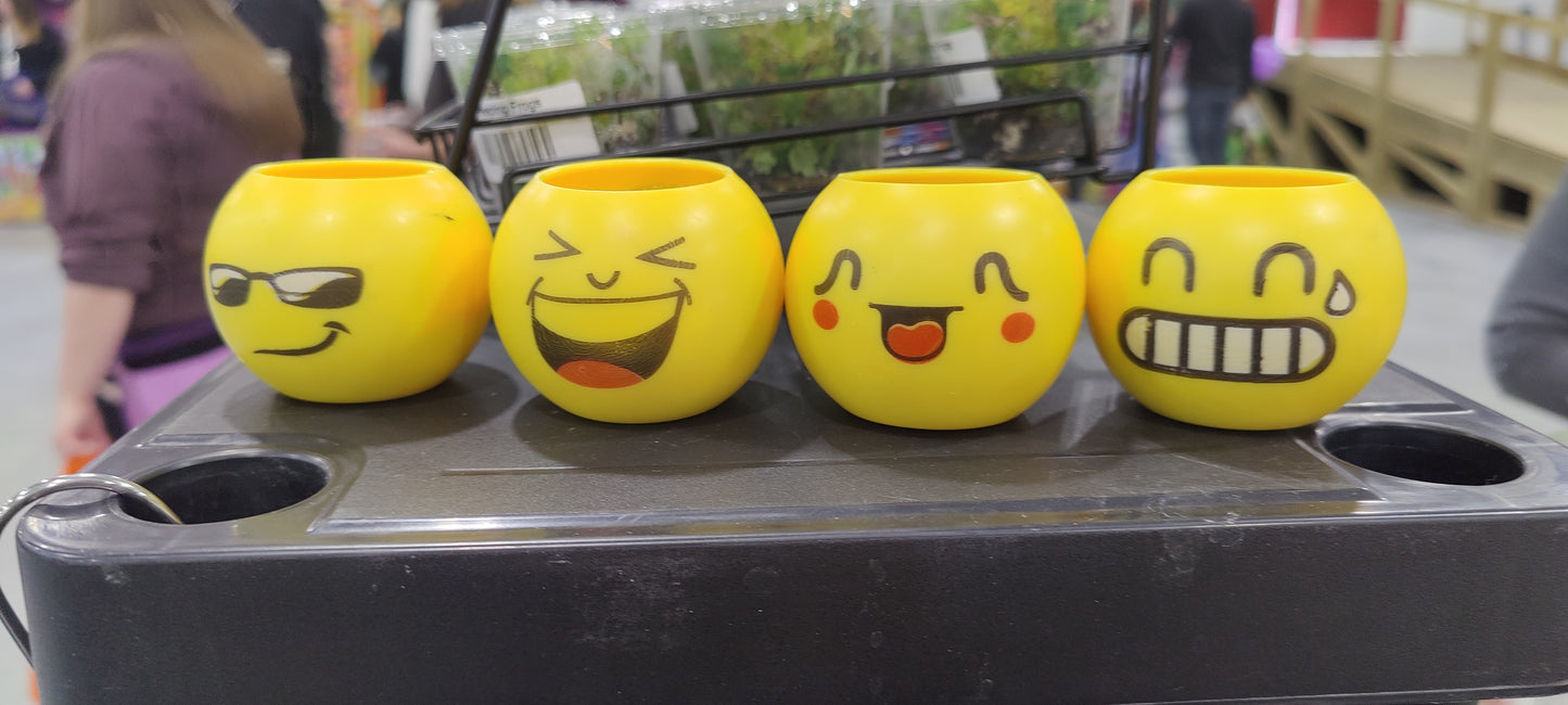 Smiley pots