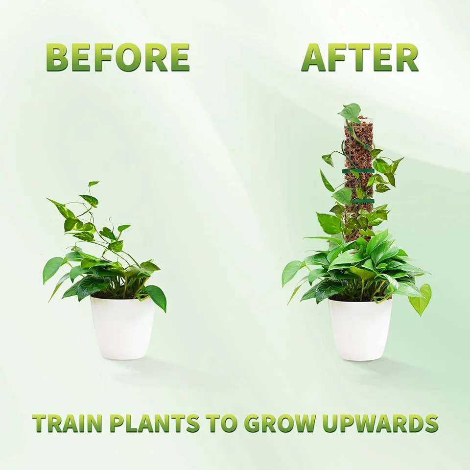 D Shape Stackable Moss Poles