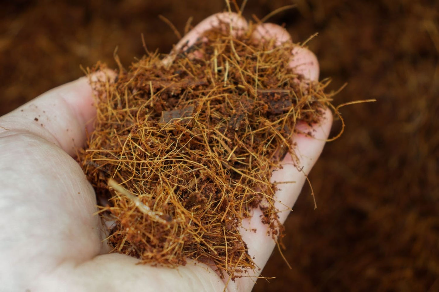 Coco Coir