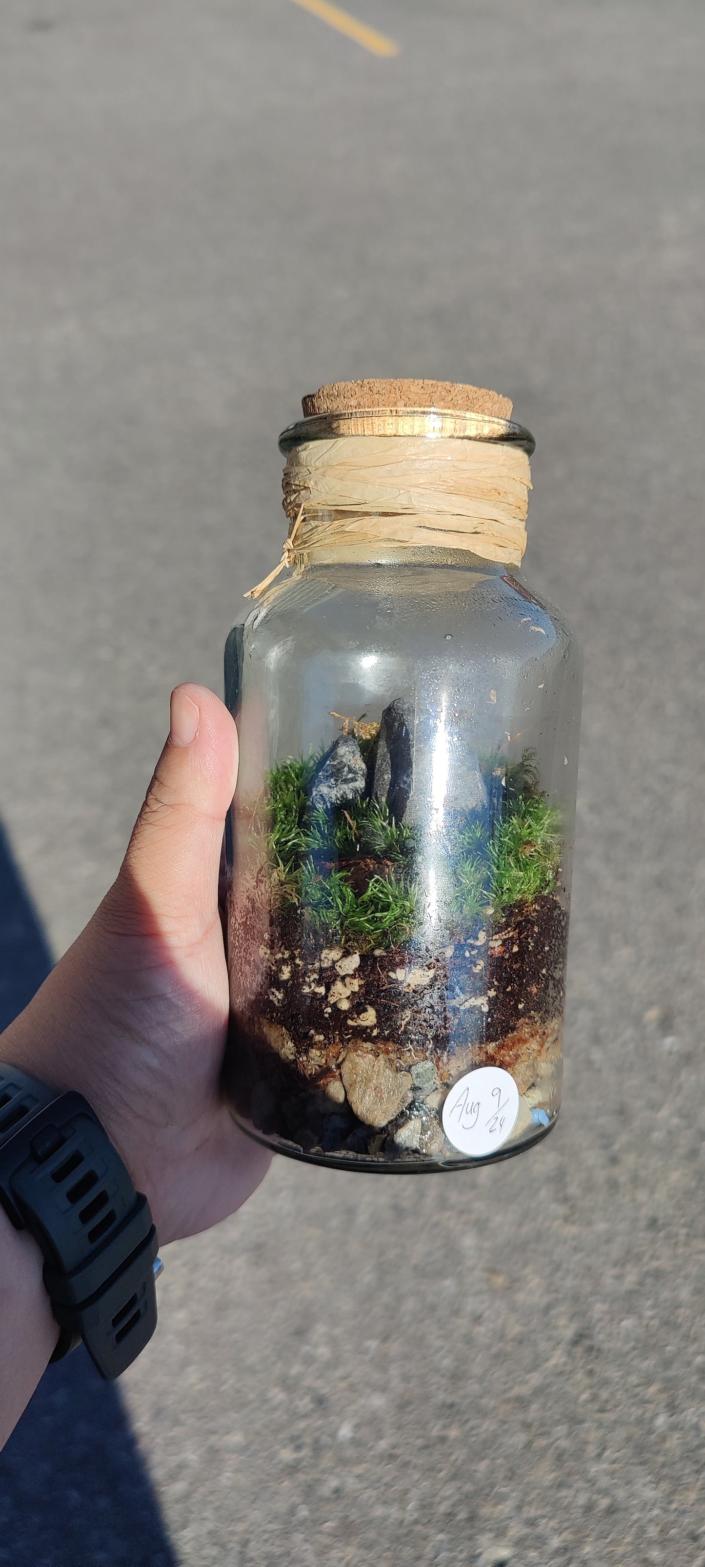 Small Terrarium