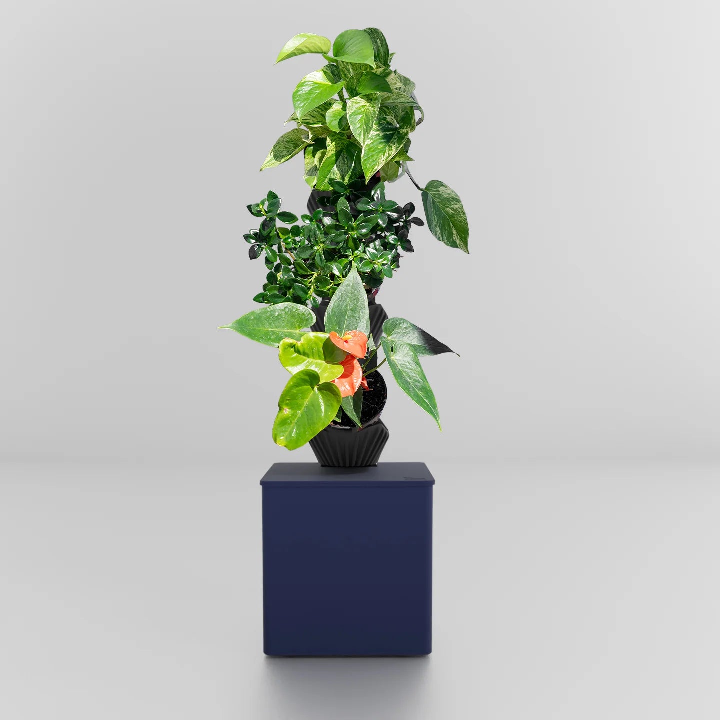 Tevatower Mini