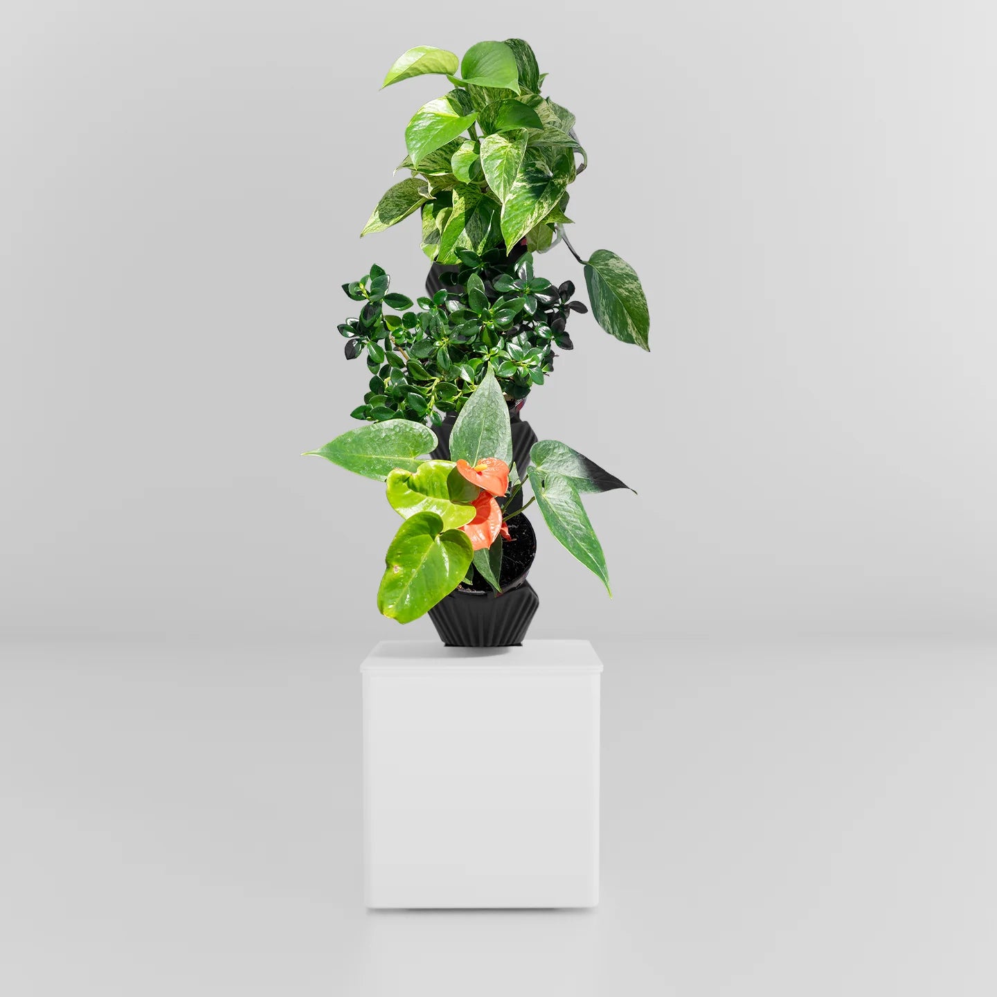 Tevatower Mini