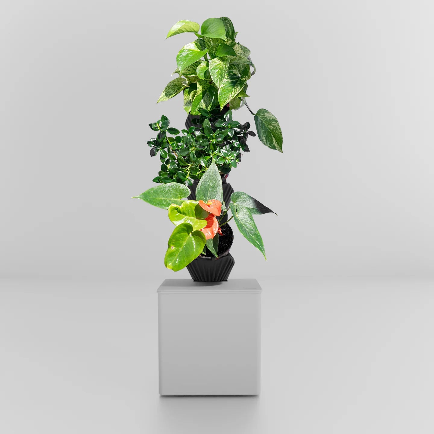 Tevatower Mini
