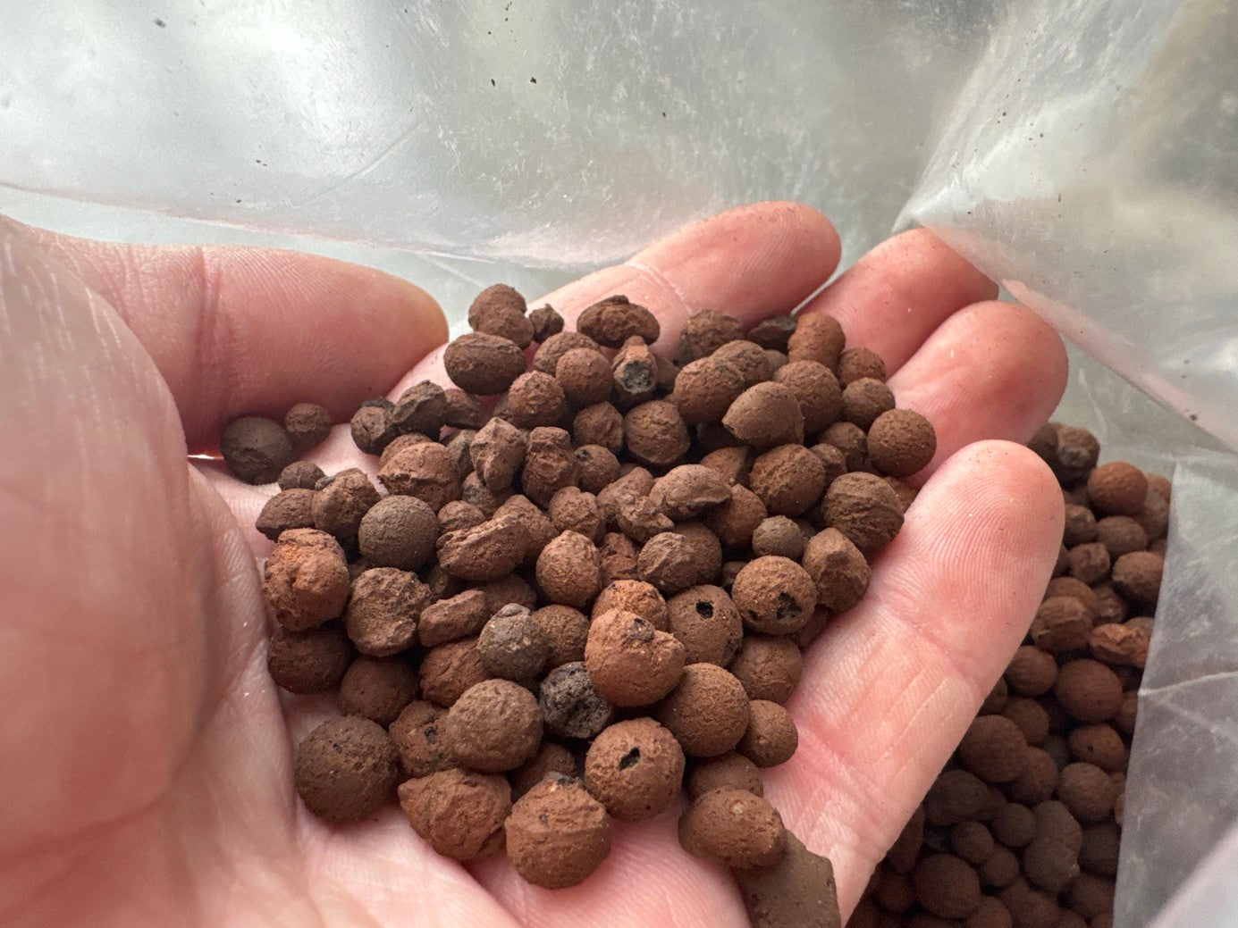 Clay Pellets (Hydro Granules)