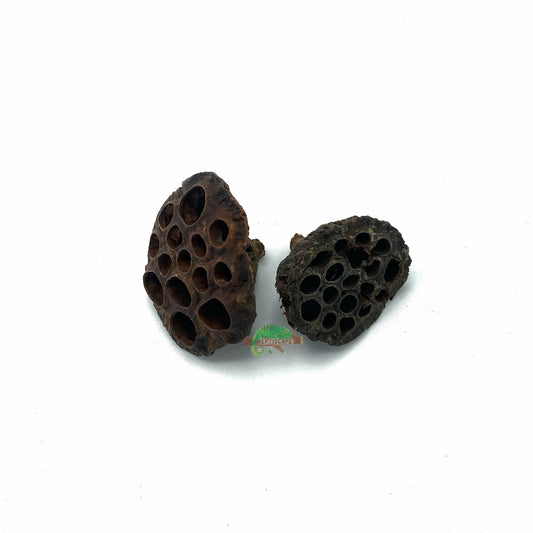 Lotus Pods
