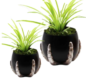 4" Cover pot Bone Claw Pot (Black)