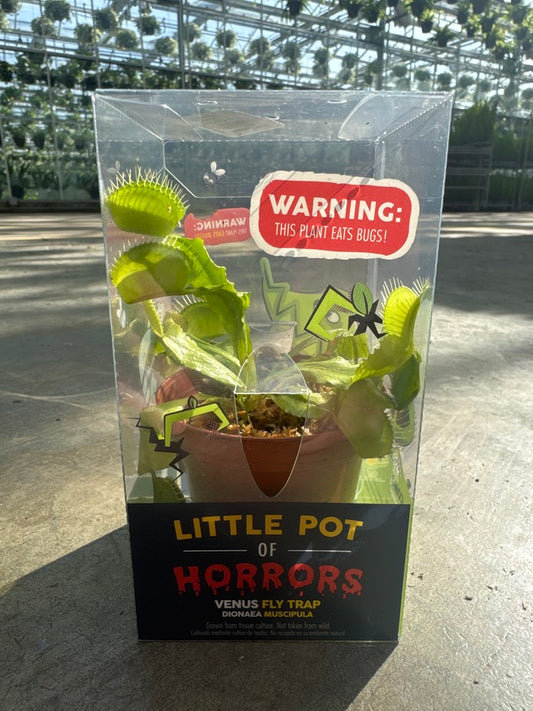 Little Pot of Horror