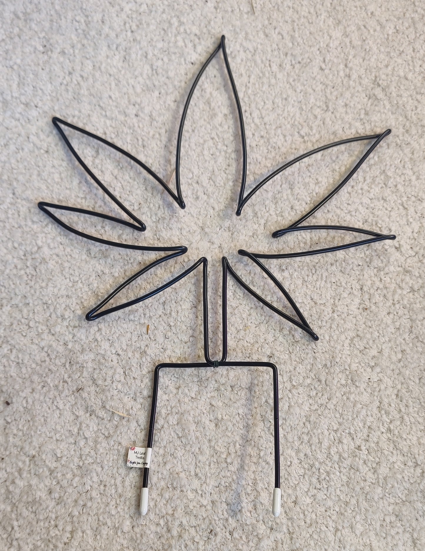 Eight for Emay wire Trellis